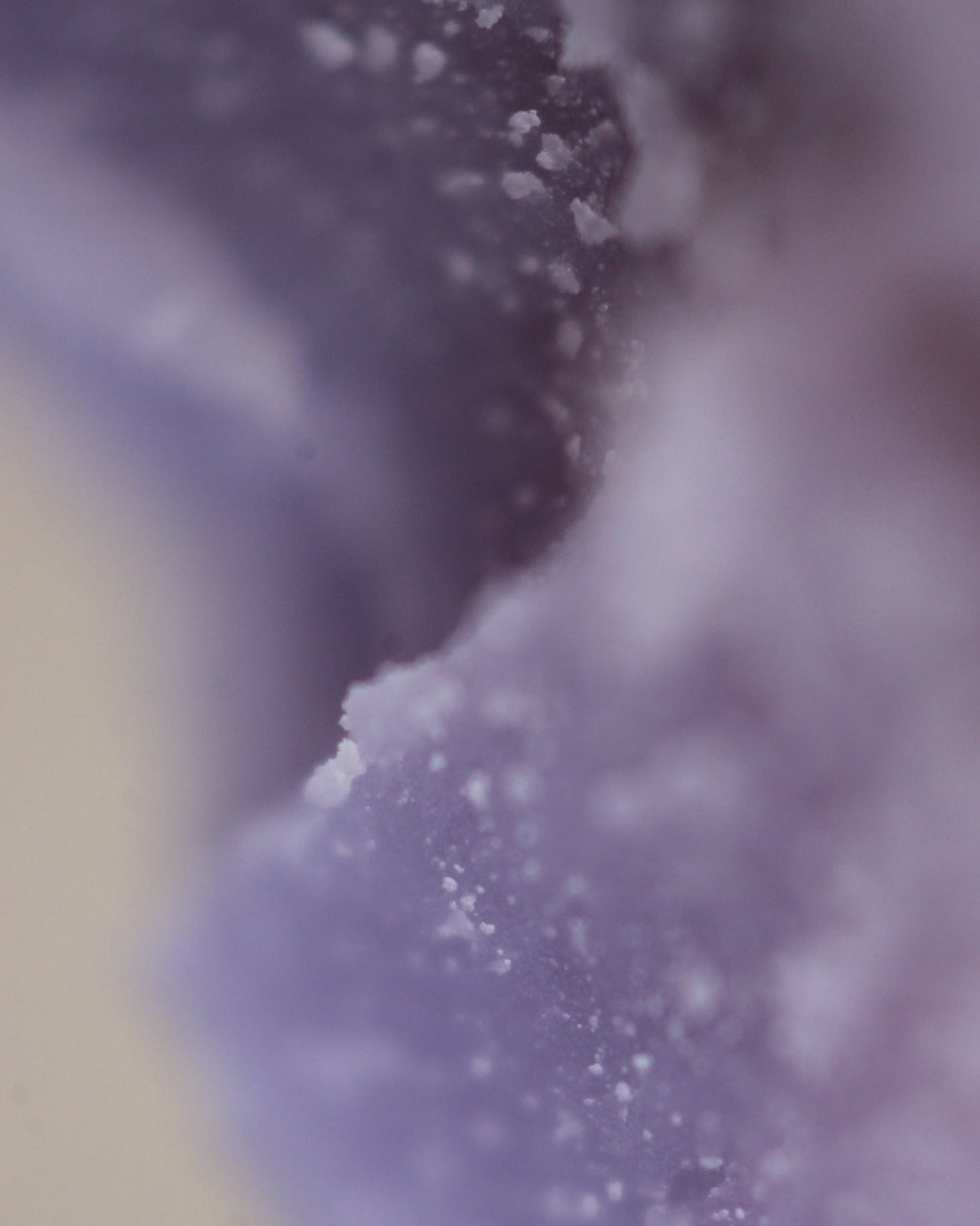 Purple lilac & frankincense soy candle wax, close up shot.