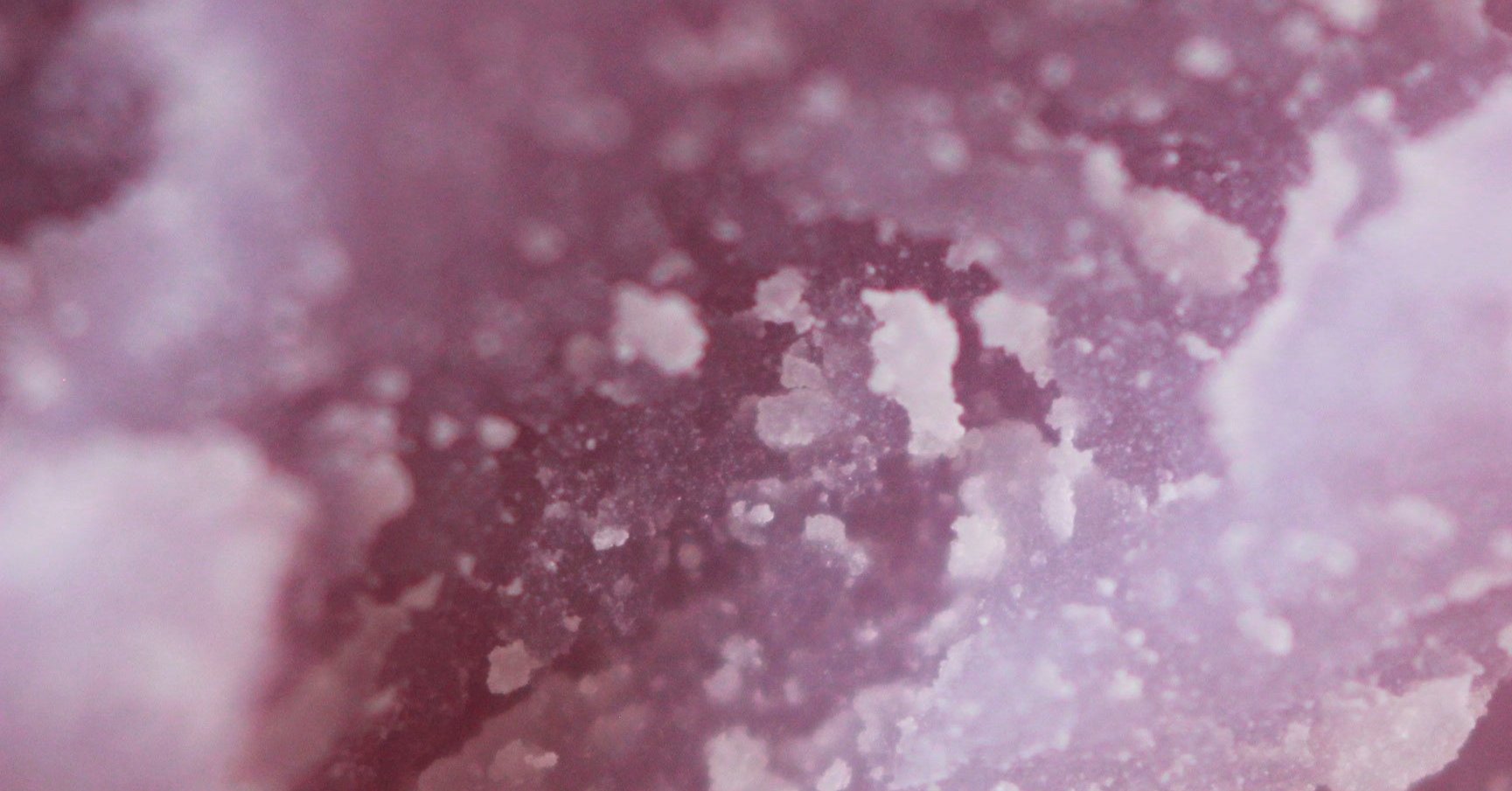 purple wax macro shot background