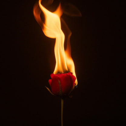 BLAZE