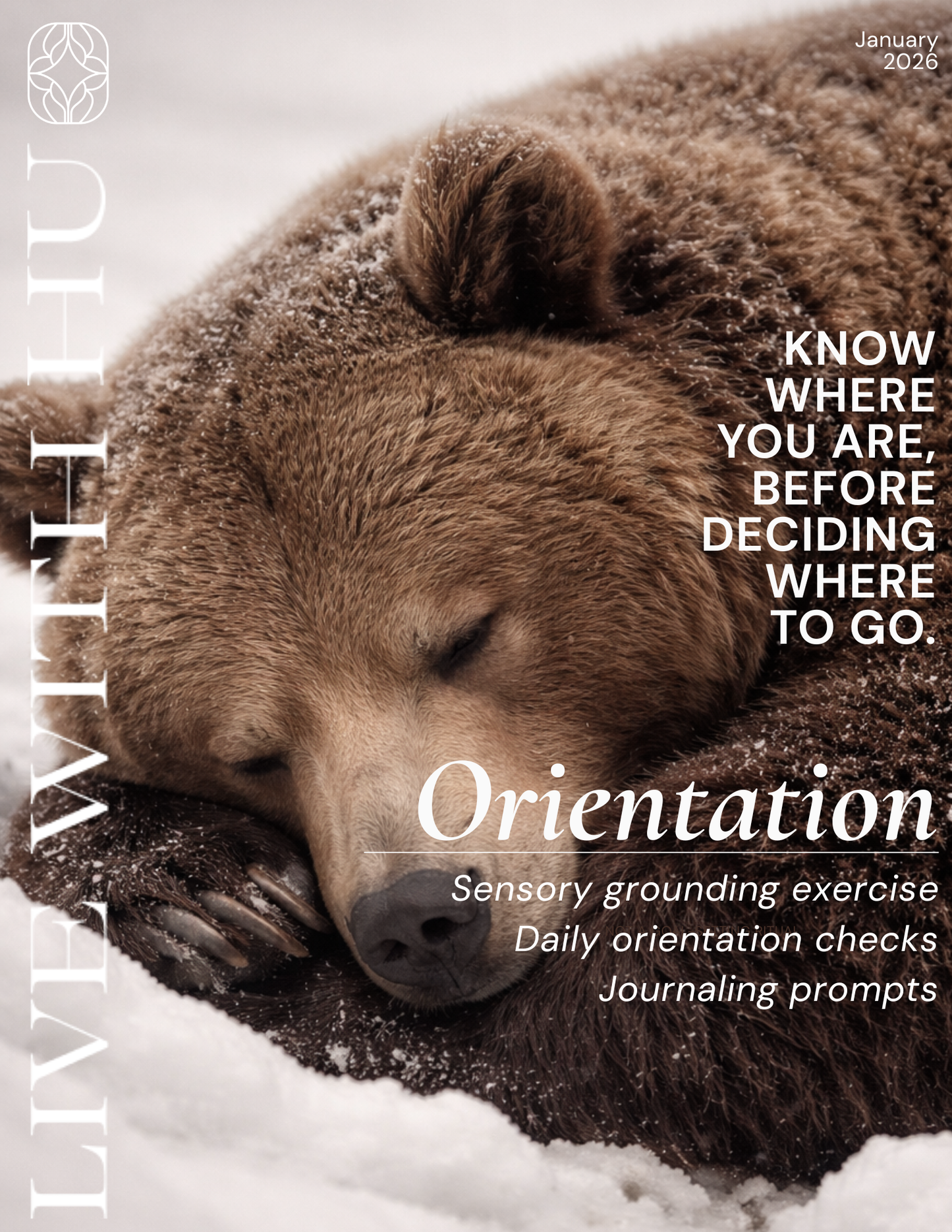 Orientation: 7-Day Journaling Ritual (Fillable Ebook + Audio Guide)